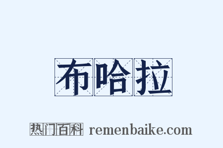 布哈拉是什么意思的图片